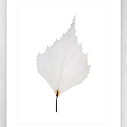Fragile Leaves Collection - Framed Art Prints (FRAG08) - Artwork