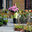Le Jardin de Balgan