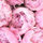 loveinteriors