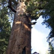 Jason Colman's photo