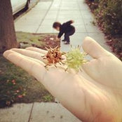 Chiha Moriyoshi's photo