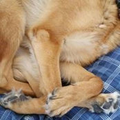 Maureen Dahl's photo