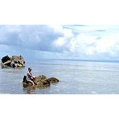 Maureen Sorreta's photo