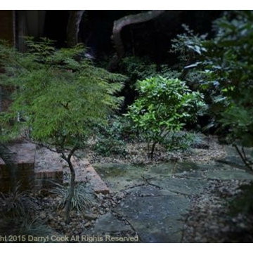 LED Lighting Warm and Cool Tones