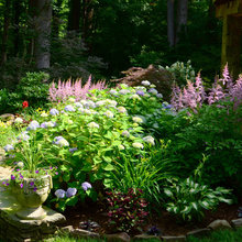 PLantings around pond