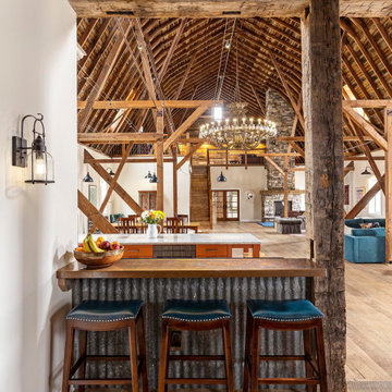 Bold Barn Revival in Dexter, Michigan