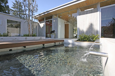 Photo of a modern garden in Los Angeles.