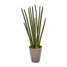 Artificial Plants