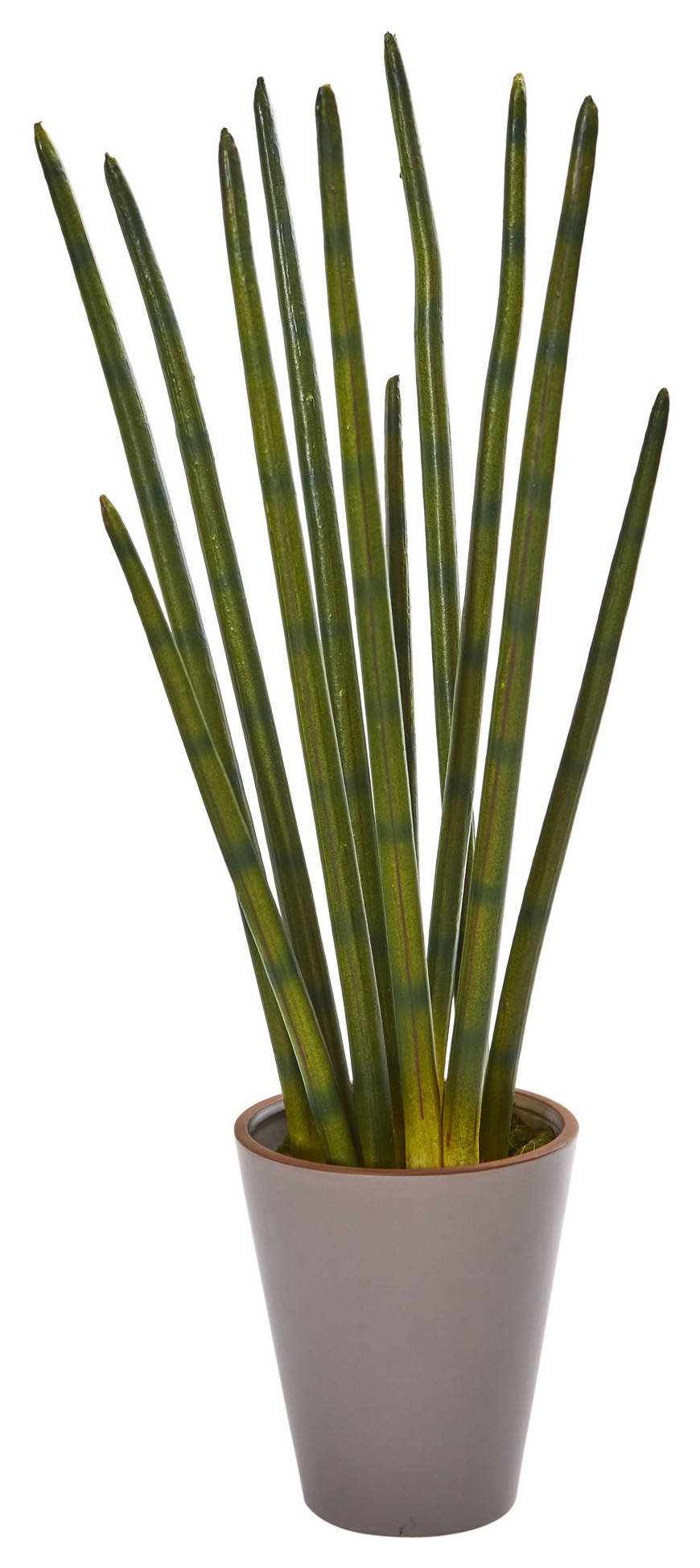 24" Bamboo Shoot Artificial Plant, Decorative Planter Contemporary Artificial Plants And