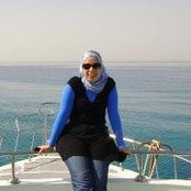 Noha Refaiis billede