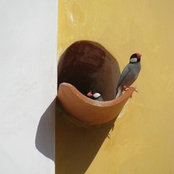 Alex Leff's photo