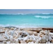 Annissa Harumi's photo