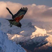 Guillaume Charton's photo