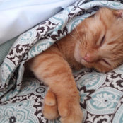Christine Emerson's photo