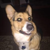 Francesca Cavallaro's photo