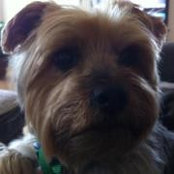 Shannon Willoughby's photo