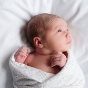 Tristan Elizabeth's photo