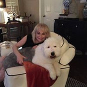 Lala Helena Gossen's photo