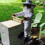 Susan LaBarbera's photo