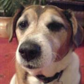 Anthony Gallagher's photo