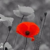 Photo de Jacqui Ellis