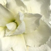 Zaker Hossain's photo