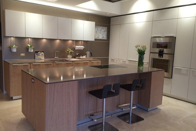 Kitchen - contemporary kitchen idea in Boston