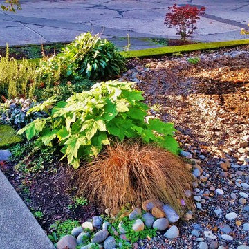 Woodstock Craftsman Cottage Rain Garden