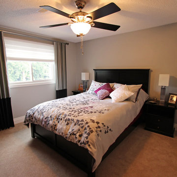 Sensational Window Treatments