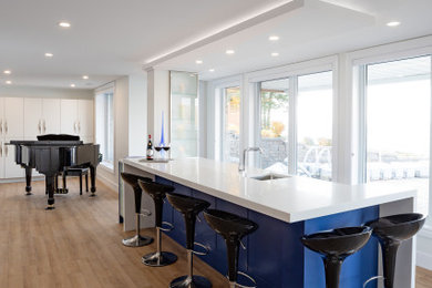 Example of a mid-sized minimalist walk-out light wood floor and beige floor basement design in Ottawa with a bar and white walls