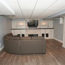 Florida Ranch media room