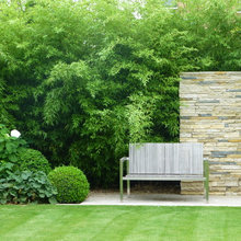 Gardens with Bamboo