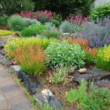Xeriscapes