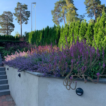Edsviken IV