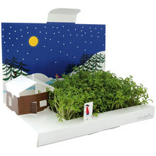 Gift ideas