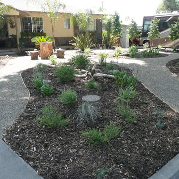 Melody House Xeriscape