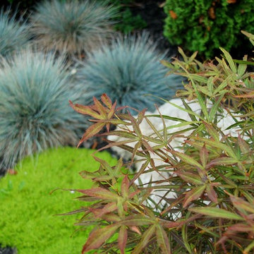 Little and lush front entrance