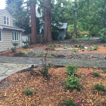 Front Yard Remodel