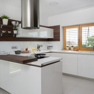 Macassar veneer and white lacquer in modern kitchen