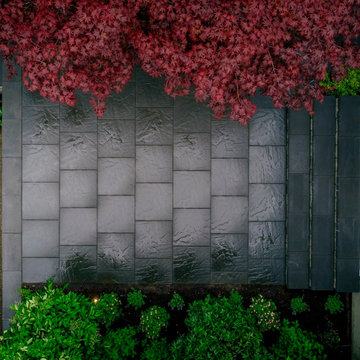 Drone View