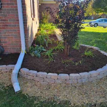 Alberto Alavez Professional Lawn Services LLC 7