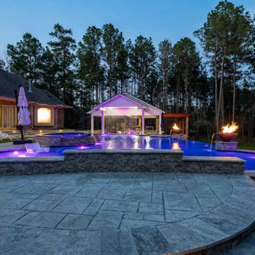 Freeform Pool with Elevated Spa