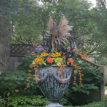 Seasonal Display
