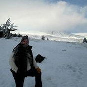 Carol McFarlane's photo