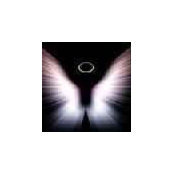 Burak Togay's photo