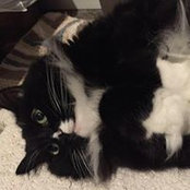 Heidi Essington's photo