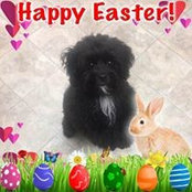 Shirley King Patton's photo