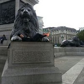 Nadia Hamati's photo