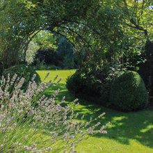 Garden ideas