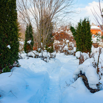 How to Prevent Winter Tree Damage